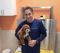 Dr. Zayas. D.V.M