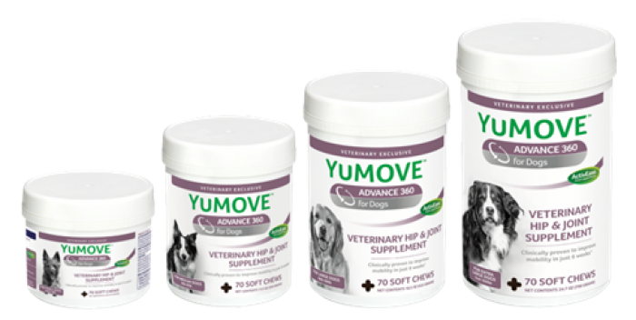 Try the Best Joint Supplements for Dogs & Cats.