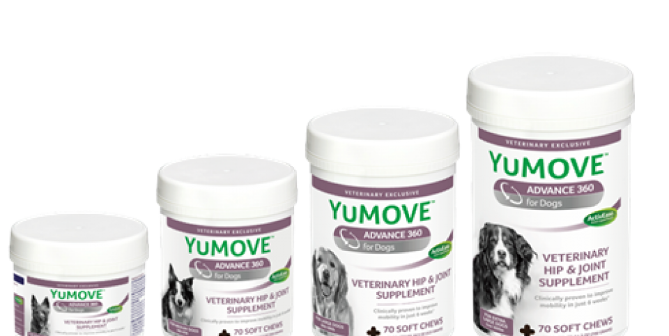 Pruebe los mejores suplementos para las articulares para perros y gatos.