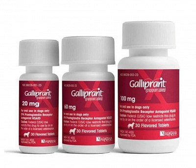 Rx. Galliprant is available by prescription only