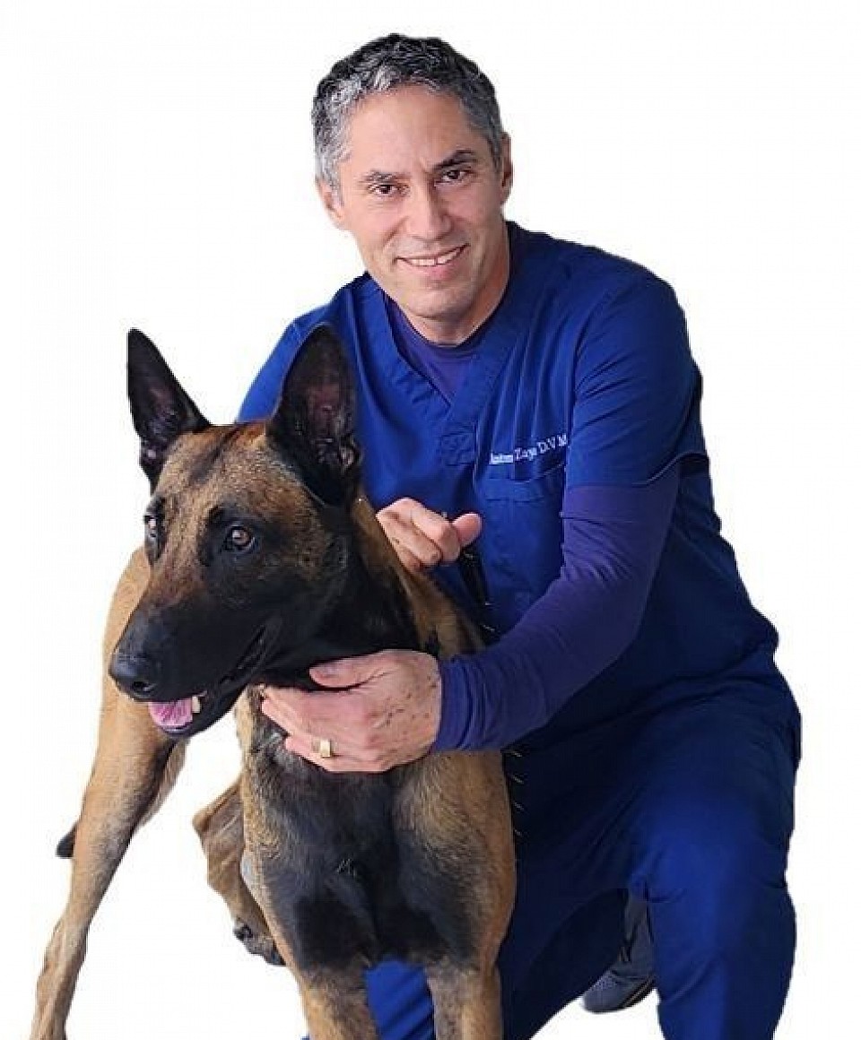 Dr. Zayas D.V.M