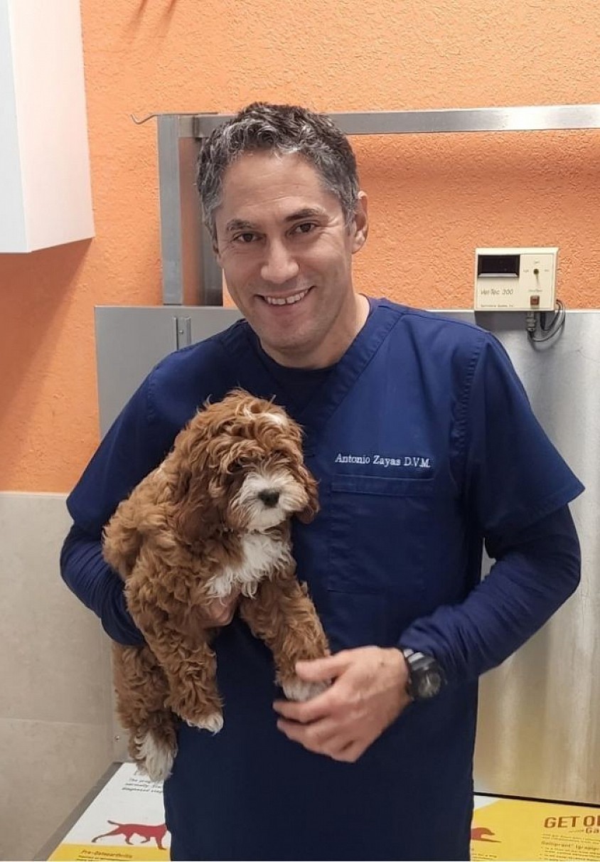 Dr. Zayas D.V.M