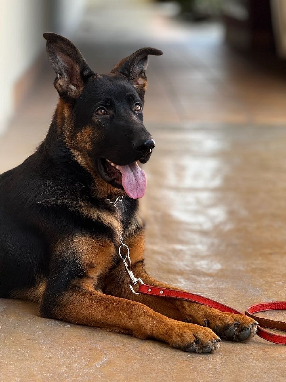 Max